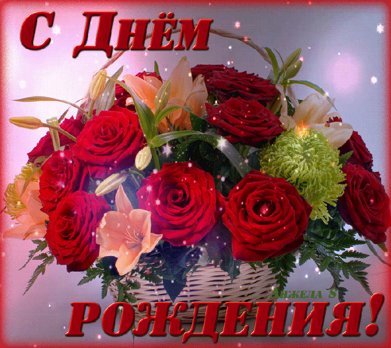 https://i.postimg.cc/85b3rxMj/ffa2b8ab9684225b593dfc3b0c4397e8.gif