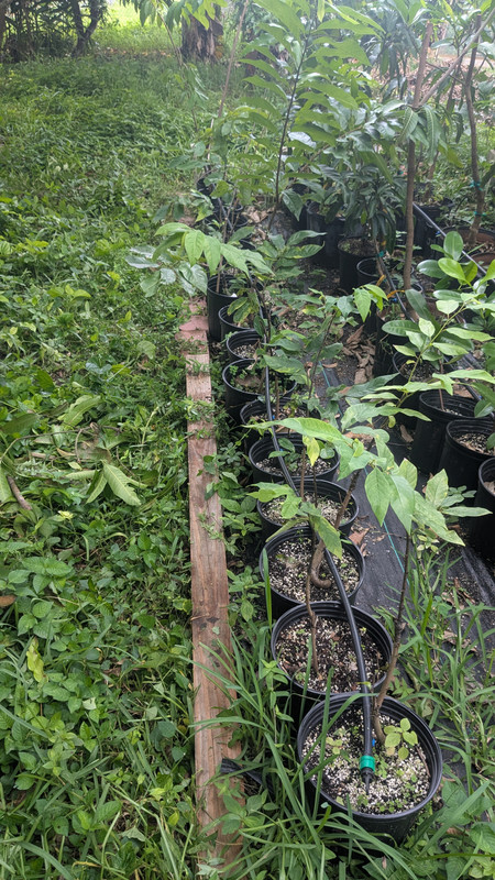 PXL_20250918_202602819