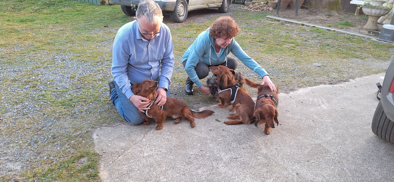 [Image: 20250306-181734.jpg]