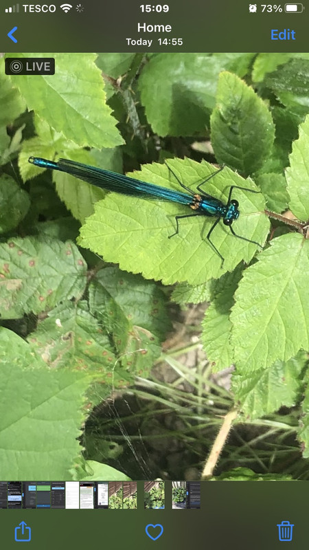 49CF1875-CCE8-4DCE-A9EE-80EB0753383D