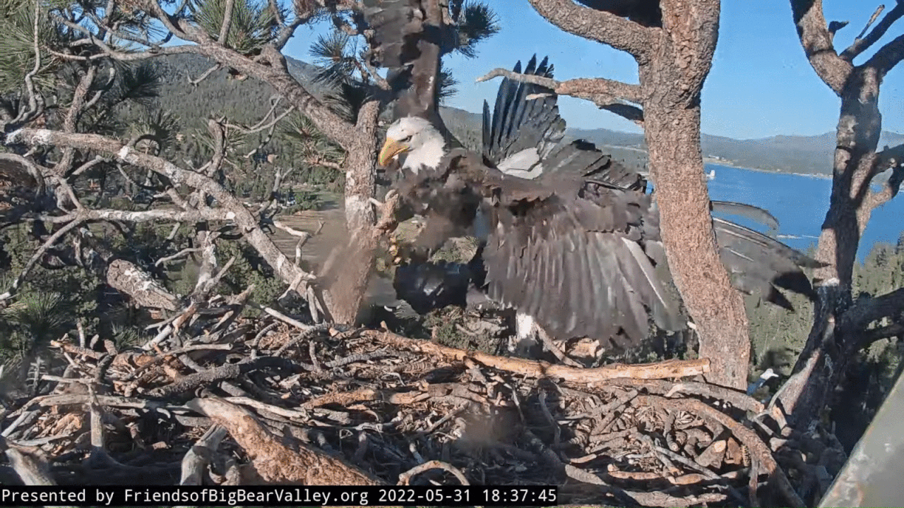 Webp.net-gifmaker (2)