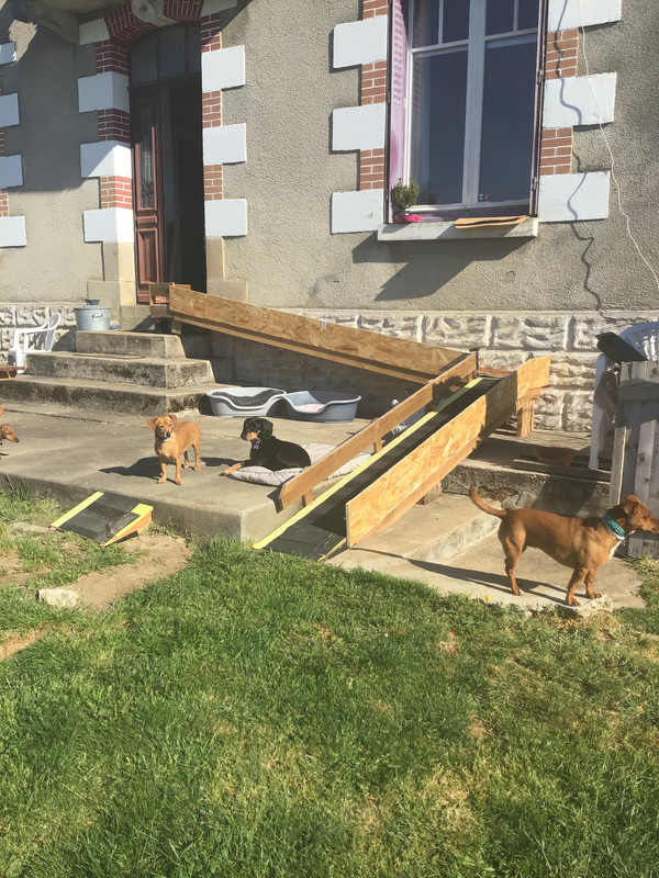 [Image: 882-B7-EE7-F801-4-F75-A2-AF-C0-C44-D801-D10.jpg]