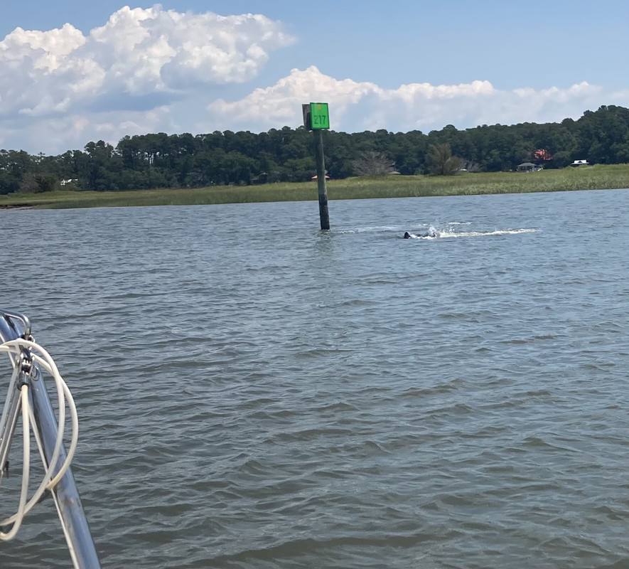 B1ADF3B2-95FA-4288-B72F-DA28B721467C