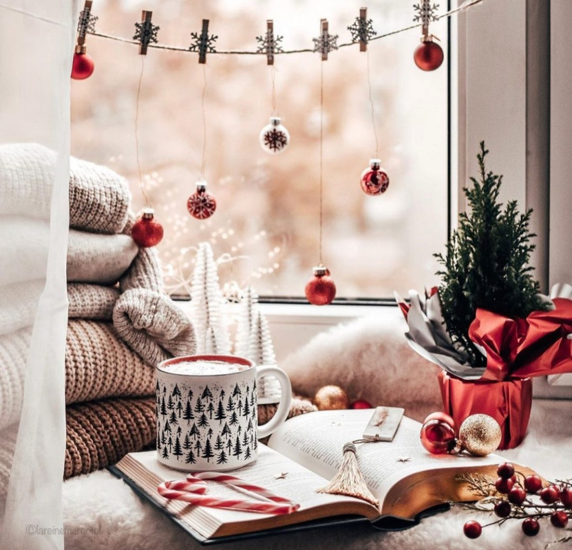 Screenshot_20231210_175211_Instagram