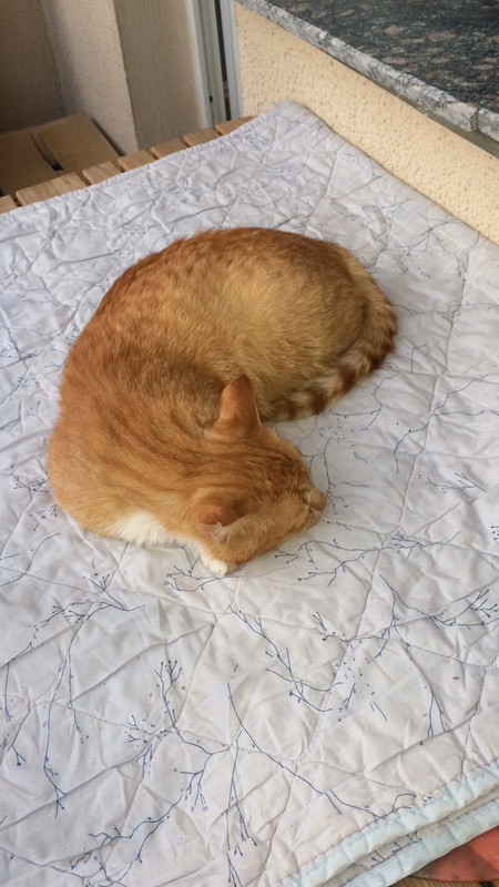 IMG-b99c4256610e92b826d6f6e7a91633dd-V