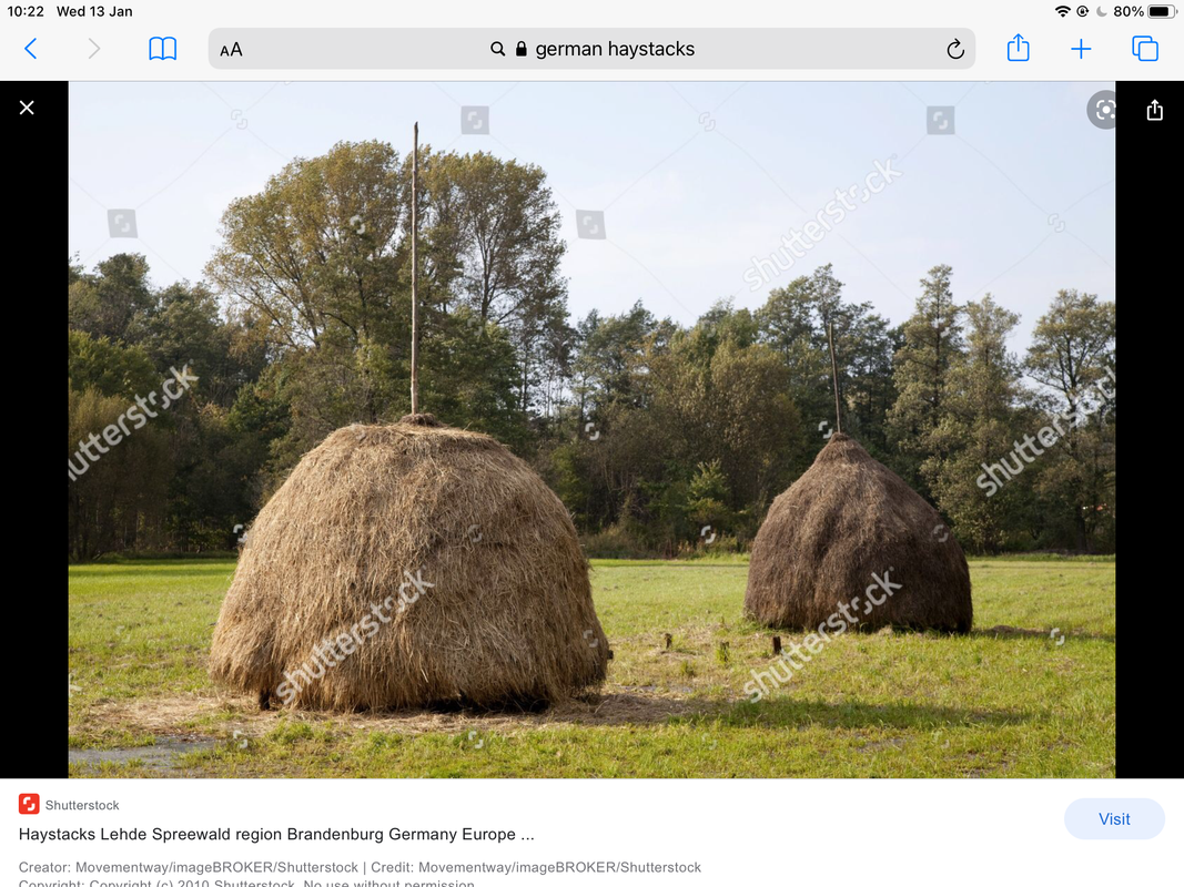 the DIFFERENCES between straw and hay 