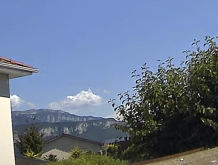 IMG-1665.jpg