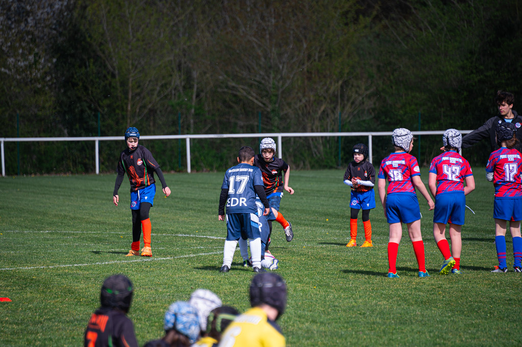 tournoi-de-latlantique-2026-adonis-griffon-166-55180398887-l