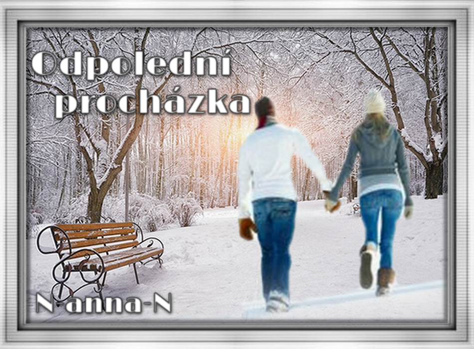 Zima-odpoledsn-proch-zka.png