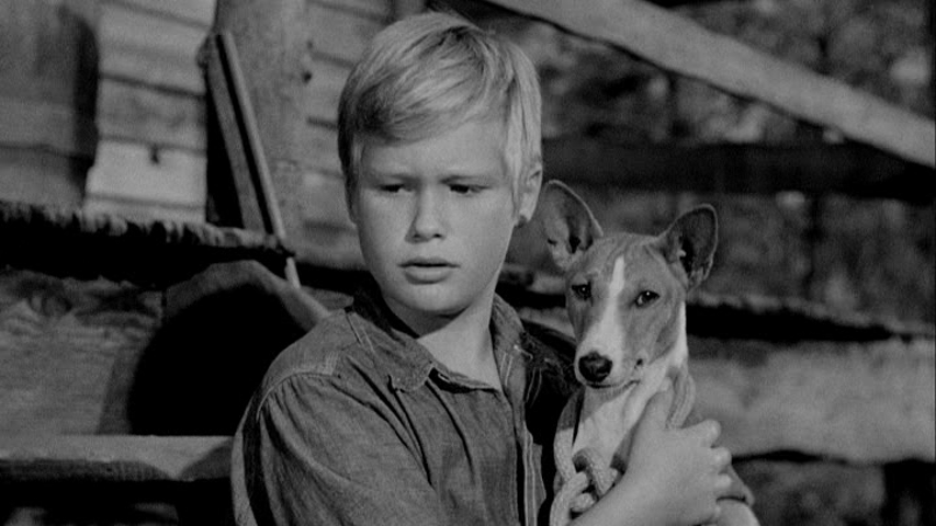 vlcsnap-2017-11-22-21h15m11s947