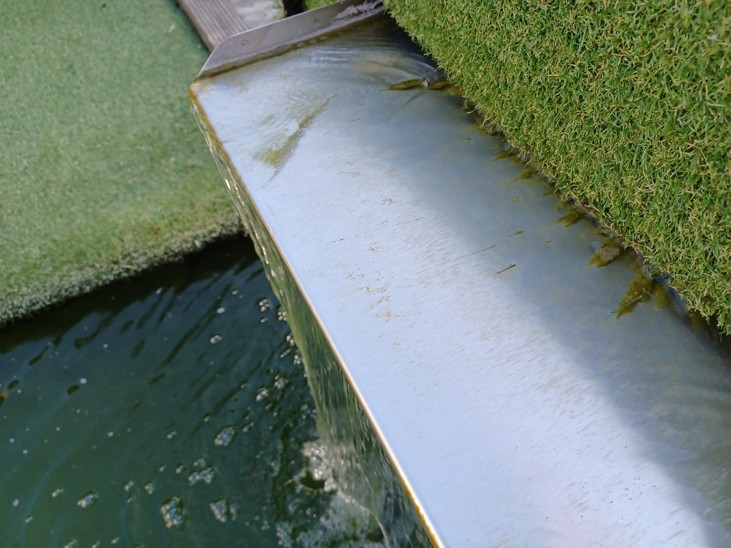 16270612125112707047768597186782