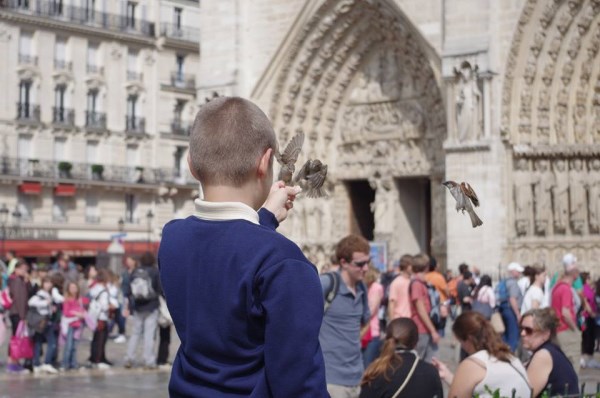 1422491_10151957620544675_270684351_n