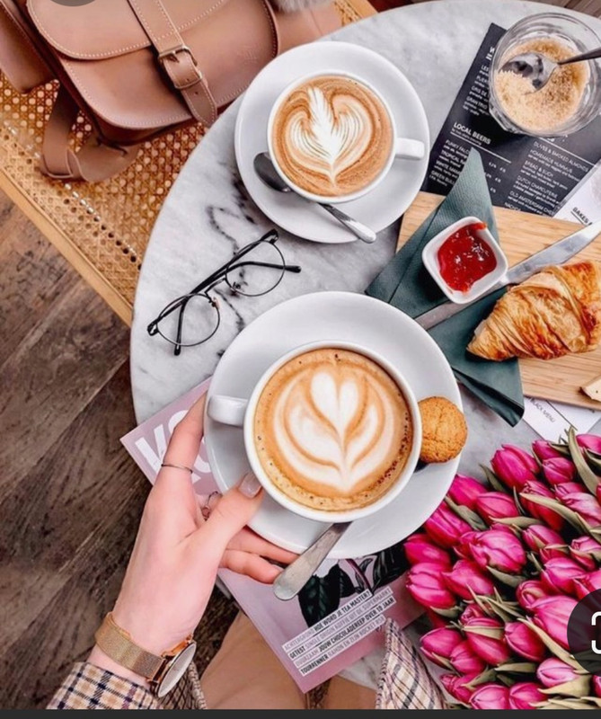 Screenshot_20230219_202253_Pinterest