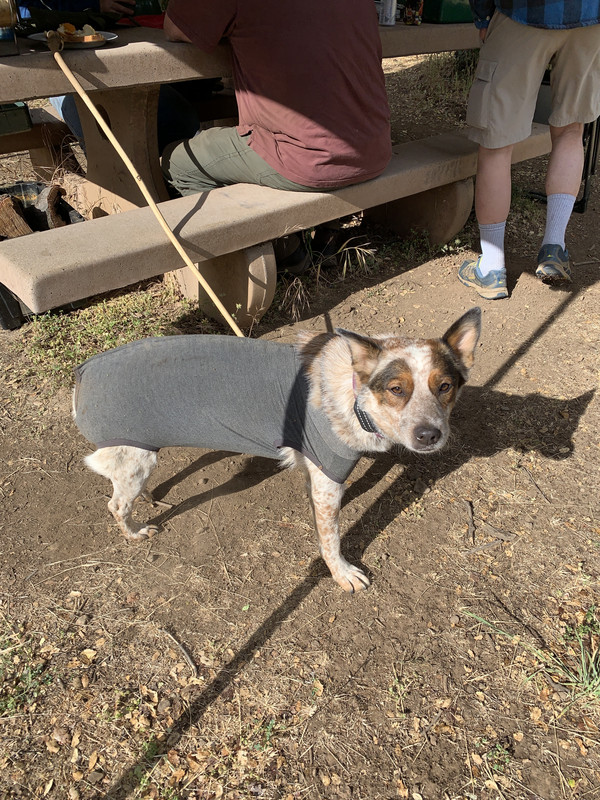 DF658A7A-387C-4205-B169-A2D98DF0AF8D