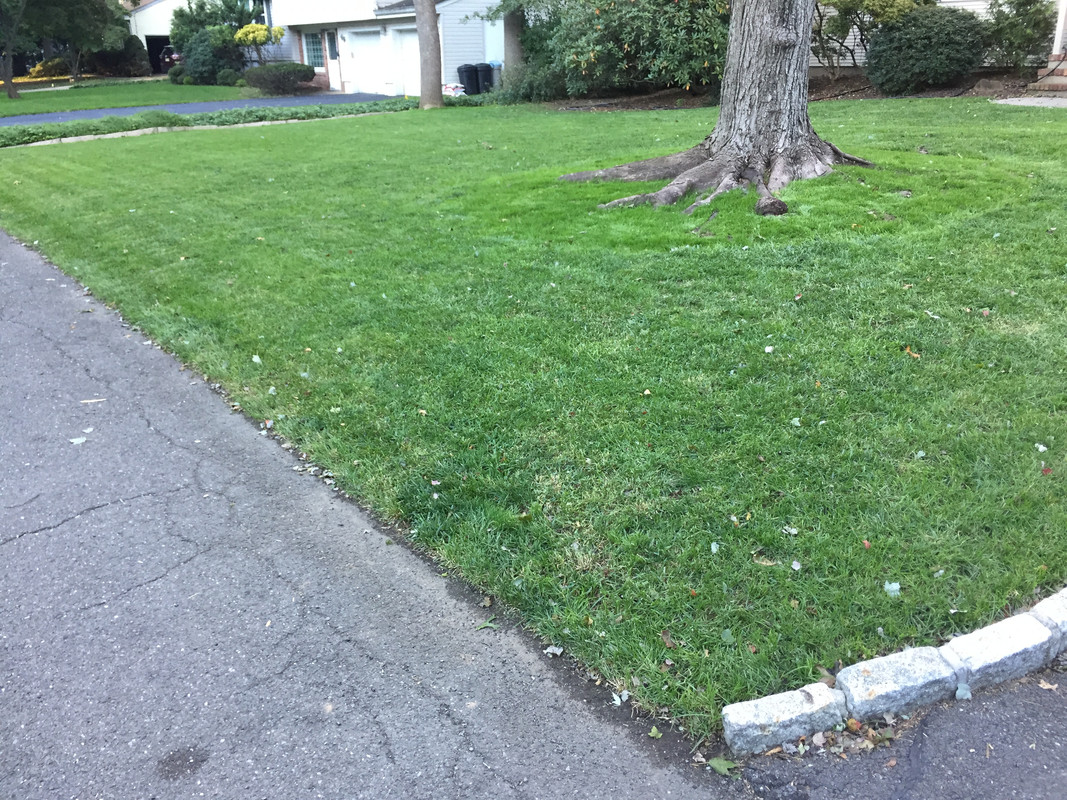 A9100216-FA57-4C3E-A550-B8635104C03C