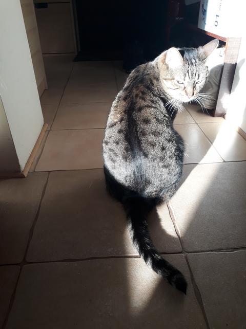 20190323-080326.jpg