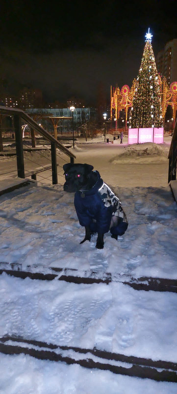 728131E3-91D3-4470-B685-7FA041DED131