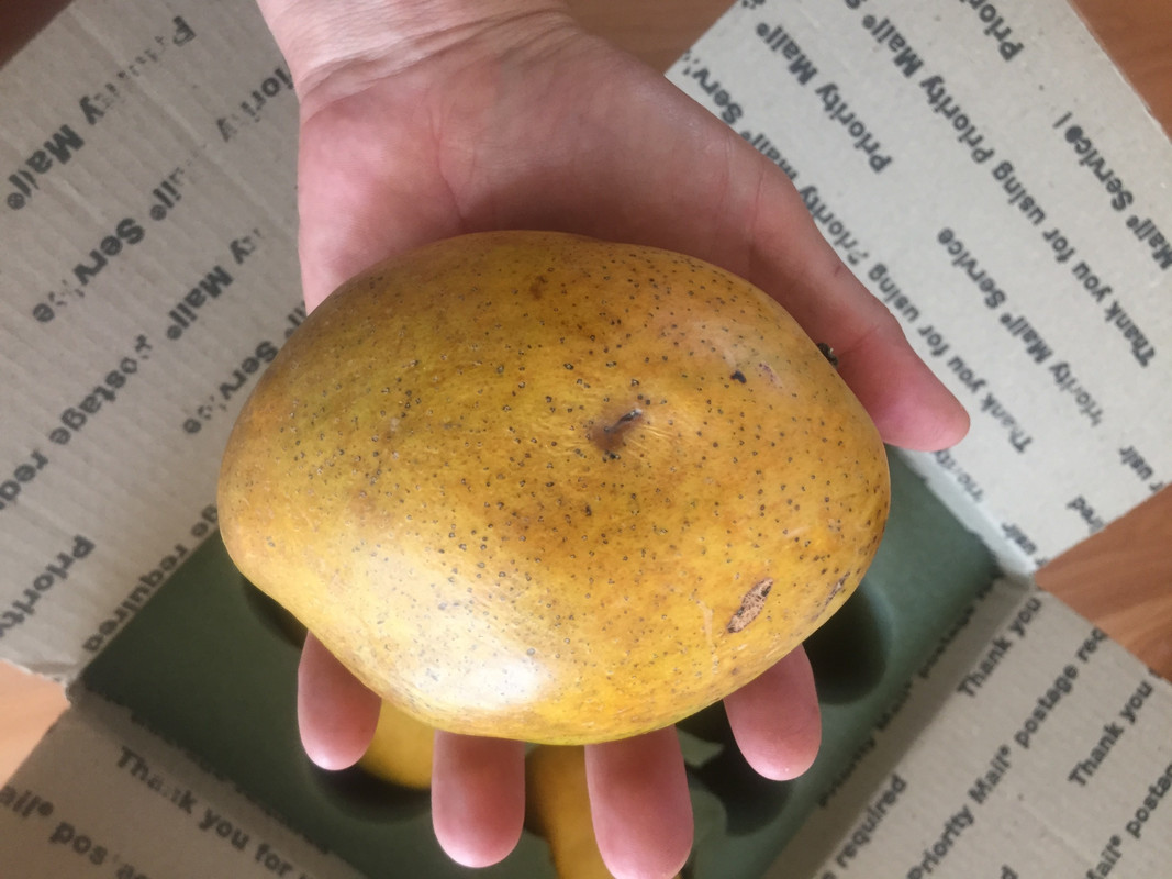 C40CD7A6-E6B3-490B-9541-45D6CEAF6609