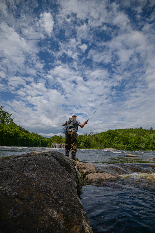 2019_July_MaineAls_022