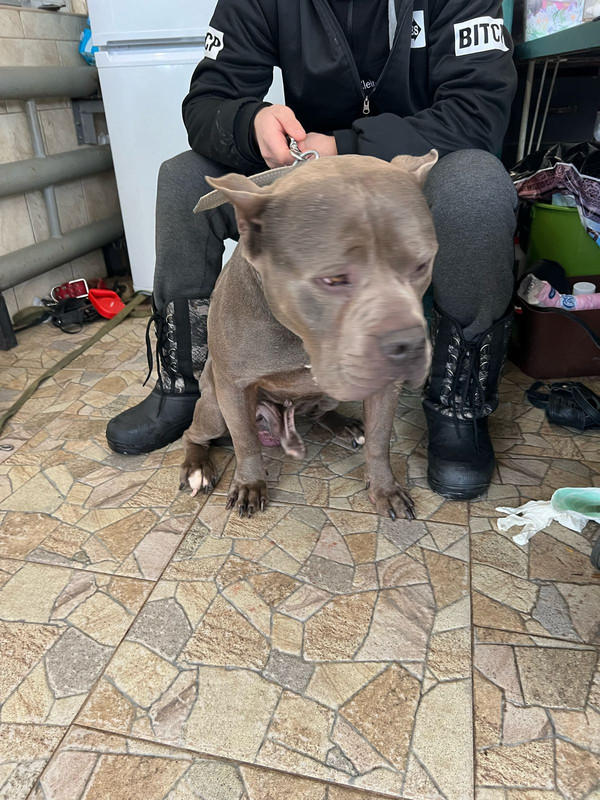 WhatsApp Image 2024-02-05 at 10.54.20 (1)