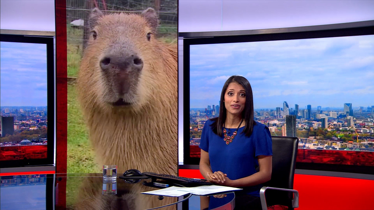 BBC London News_20230410_18501900.ts_snapshot_09.07.922
