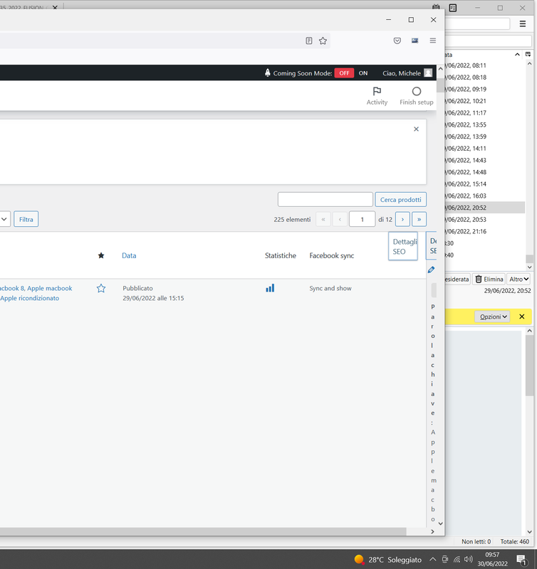 SCREEN SHOT OF THE PROBLEM