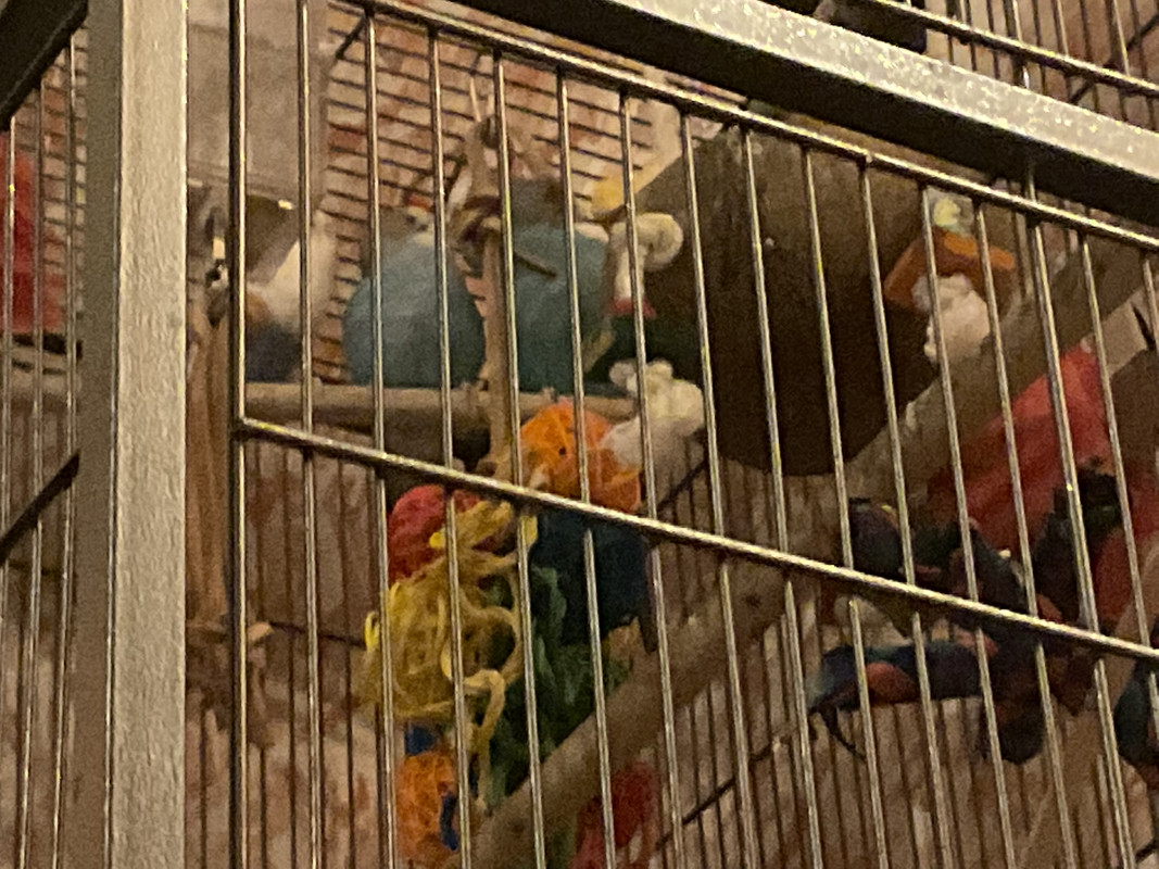 D7193A94-C681-4D8A-9B0D-9B50A5AF6280