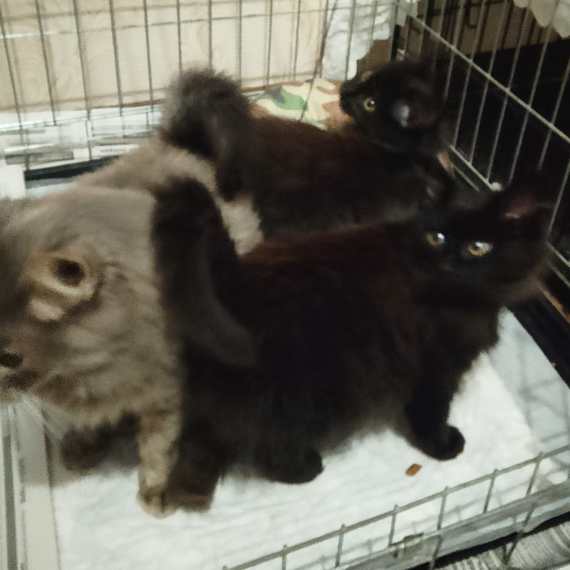 IMG 20251119 150341 2