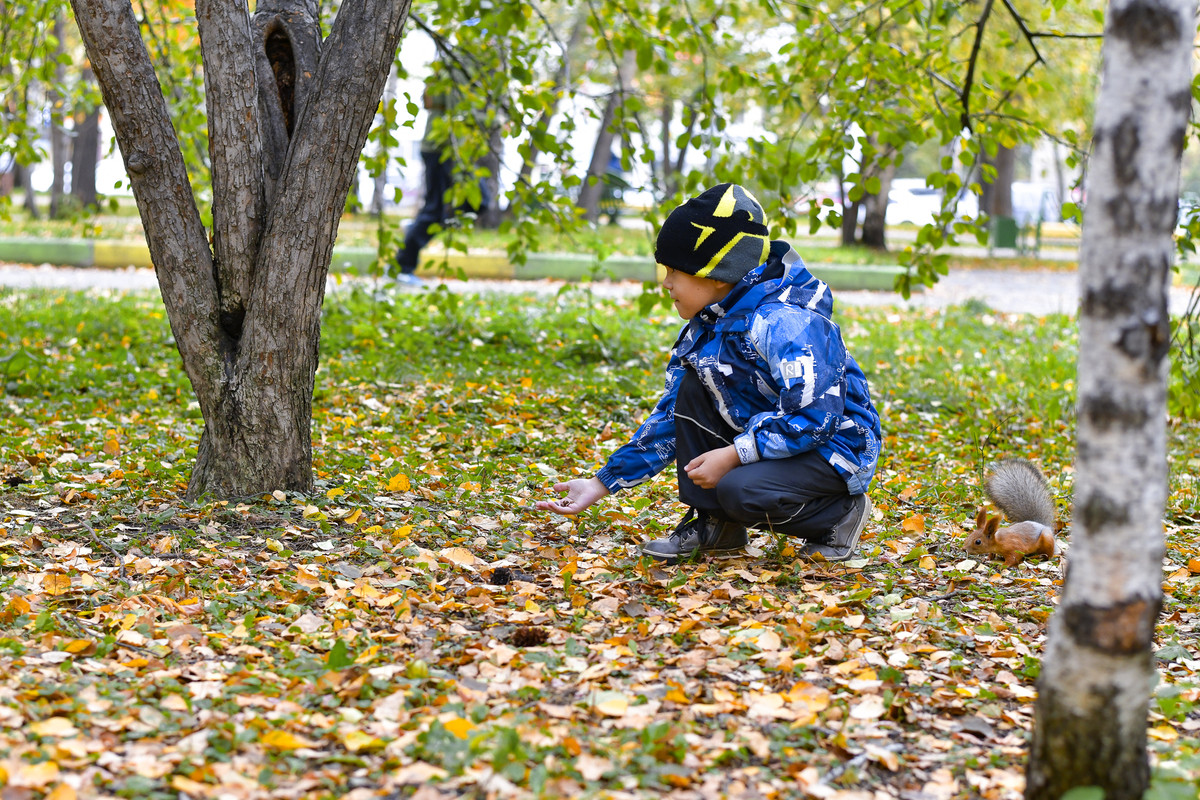 DSC-6289.jpg