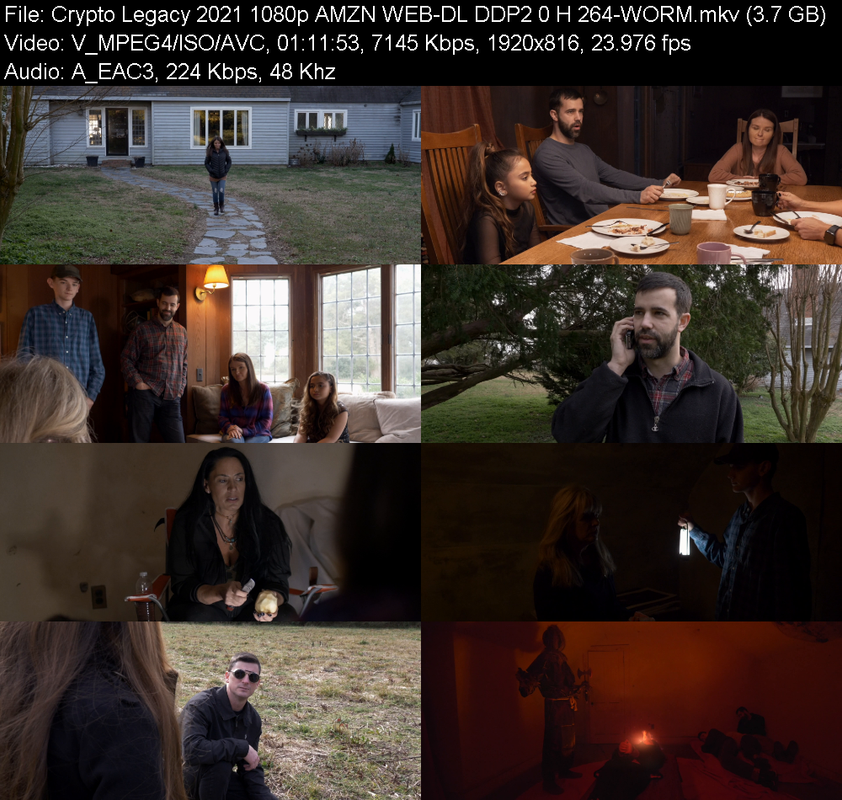 crypto-legacy-2021-1080p-amzn-web-dl-ddp