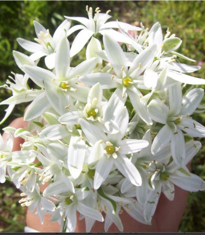 IMG_٢٠٢١٠٦٢٢_١٥٢٥٢٦