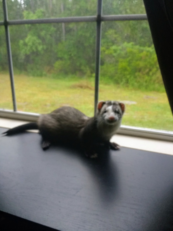 IMG_20190503_073143413