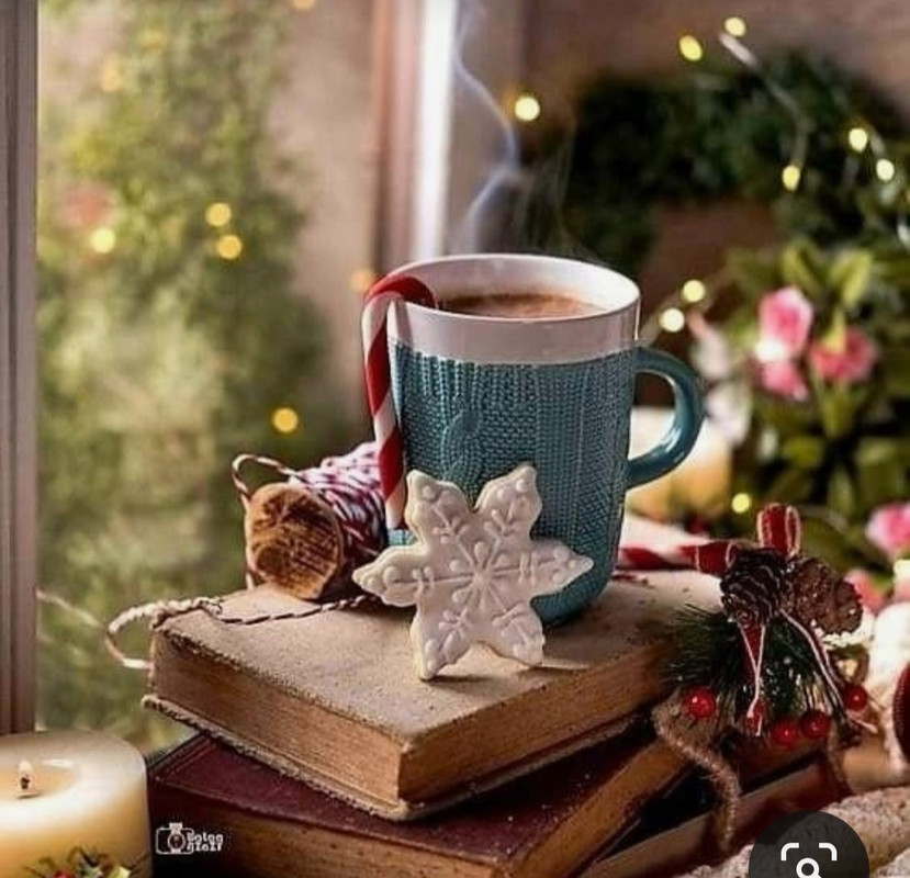 Screenshot_20231110_133511_Pinterest