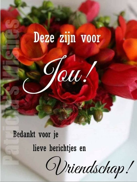 fbc47c09ae21e7be9a9d51113decb418