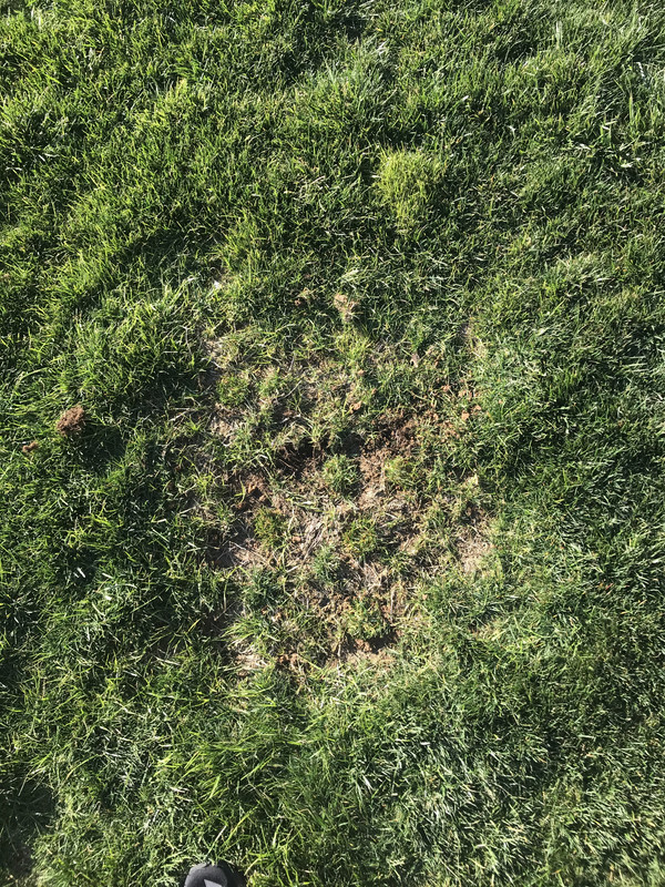 654465B2-B908-4BDD-9EC7-9923B7D12FB5