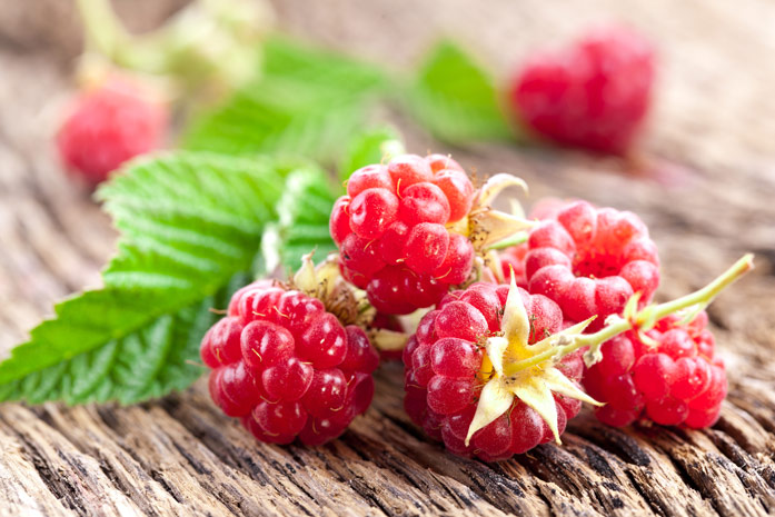 Топ 5 самых полезных ягод для иммунитета и крепкого здоровья.