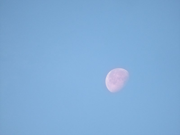 [Image: MORNING-MOON.png]