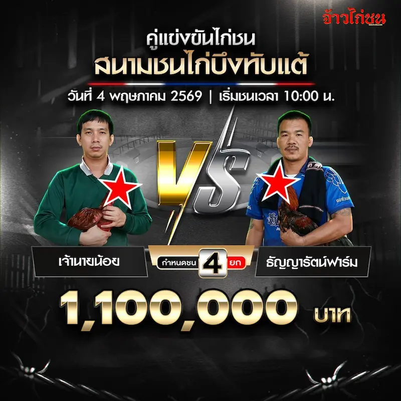 โปรแกรมไก่ชน สนามชนไก่บึงทับแต้ วันที่ 4 พฤษภาคม 2569 คู่ เจ้านายน้อย พบ ธัญญารัตน์ฟาร์ม