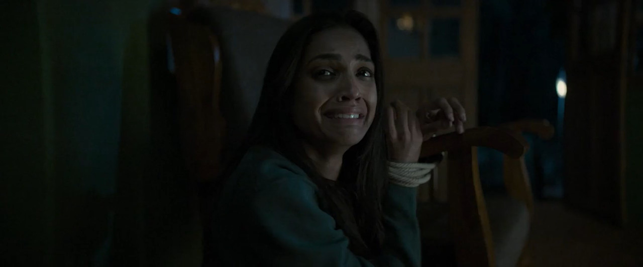 Vadakkan 2025 WebRip [Tamil + Telugu + Malayalam + Kannada] 480p 720p ESub Screenshot