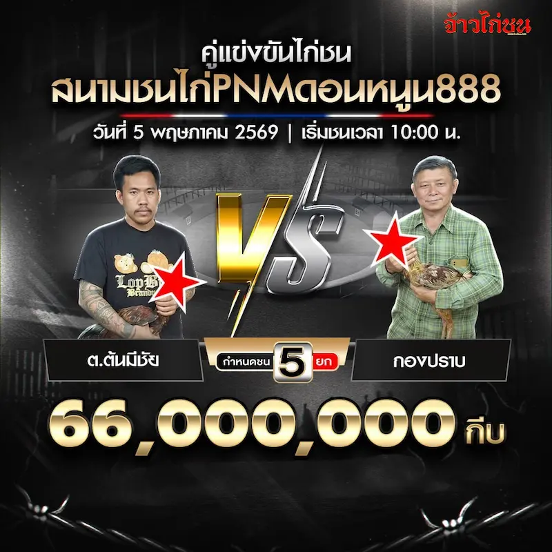 โชนี่ฟาร์ม vs วลีฟาร์ม โปรแกรมไก่ชน สนามชนไก่ PNMดอนหนูน888 วันที่ 5 พฤษภาคม 2569