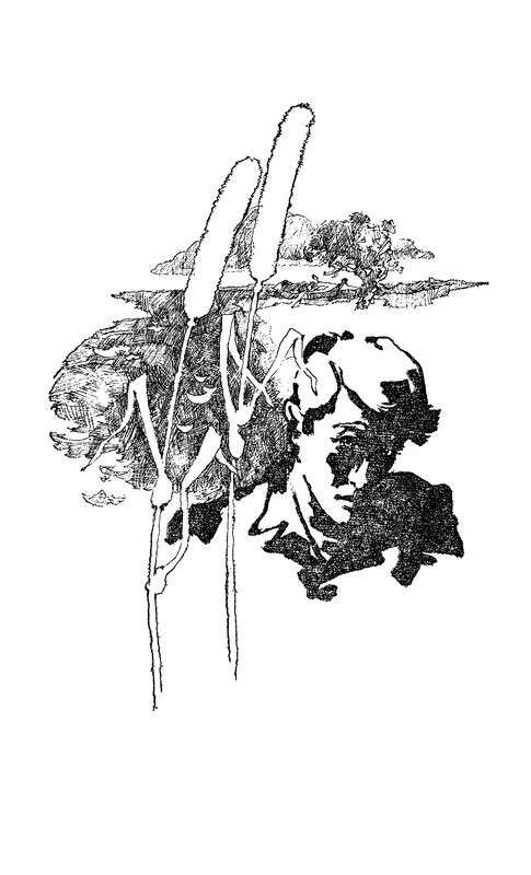 p0006