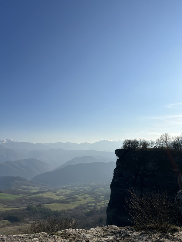 6536B43F-CD95-4E1C-80B3-59543F774B2B