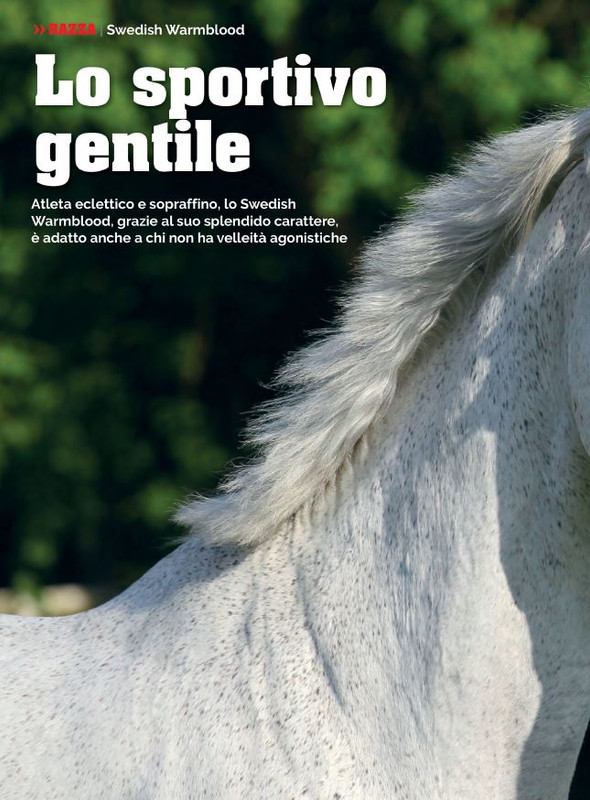 Il Mio Cav (Ago 2022) 7