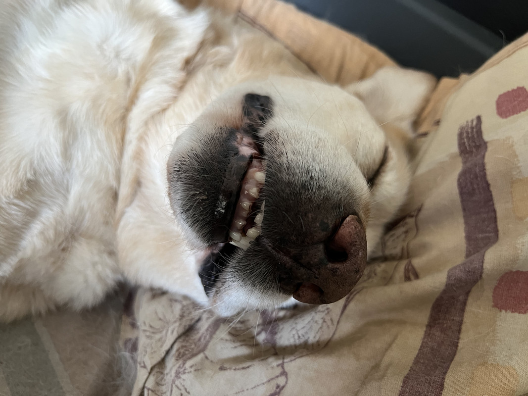 A1237A6C-7617-4E15-AA2C-5C93D4E1ABAA