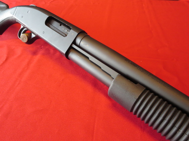 Waff-ank-Clearwater-037