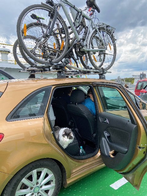 620-D1220-3-D36-4-D8-B-8-E2-E-02-AAF07-C