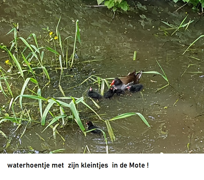 ></a>  </div></body></html>