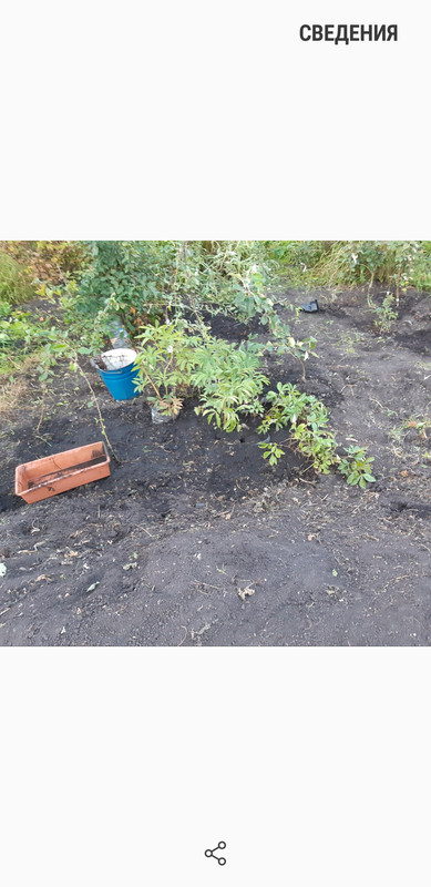 Screenshot_20230311-064321_Gallery