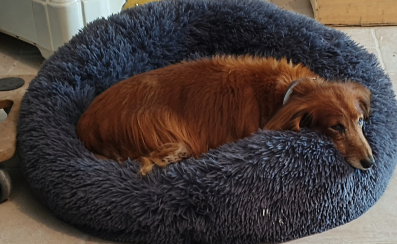 [Image: 20201109-181645.jpg]