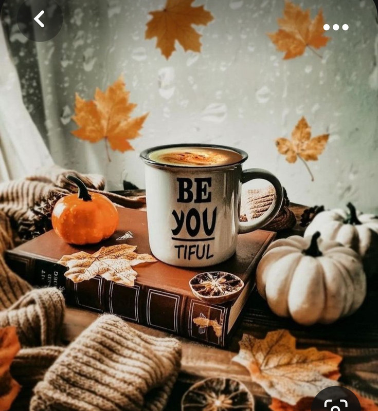 Screenshot_20231008_215151_Pinterest